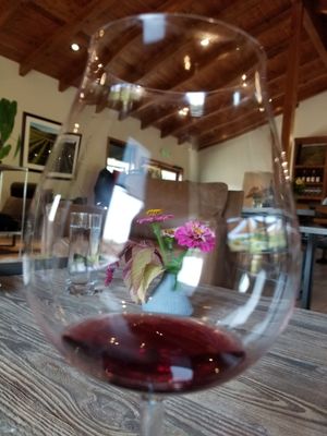 Patricia Green Cellars by null