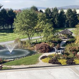 Gardens in front from the rooftop area Gardens in front from the rooftop area