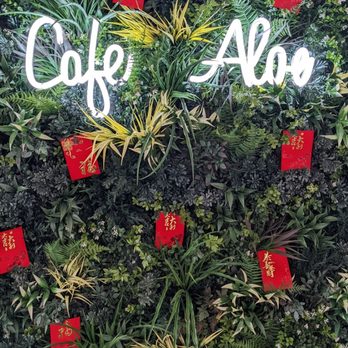 Cafe Aloe - Cafes Near Me - Bellevue, Washington