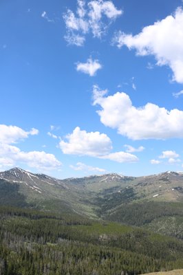 Mt Washburn by null