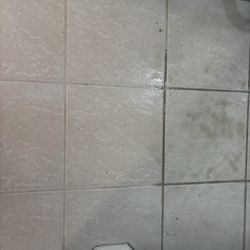 Dynamic Carpet cleaning