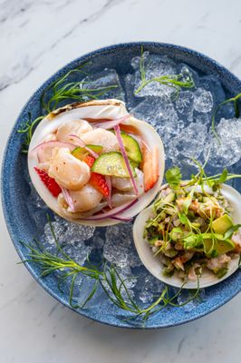 Crudo Ceviche & Oyster Bar by null