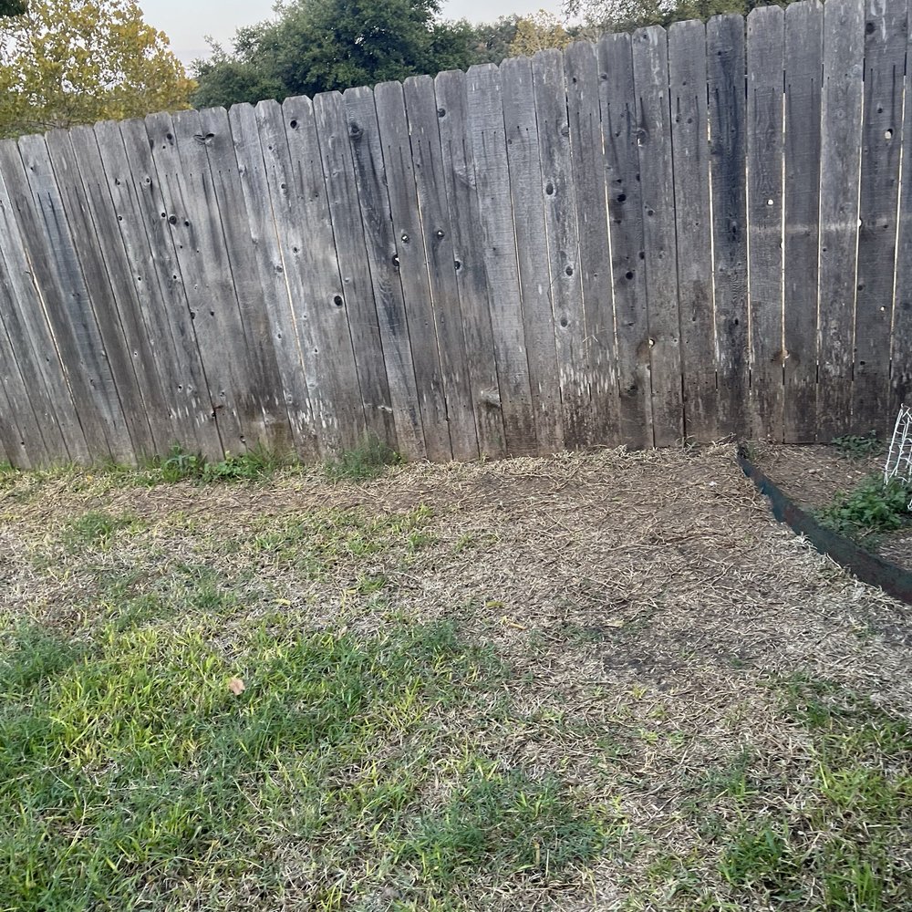 Austex Tree Service - Poor sod installation - Tree Services Near Me - Round Rock, Texas Austex Tree Service - Poor sod installation - Tree Services Near Me - Round Rock, Texas
