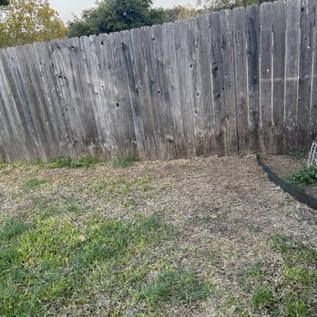 Austex Tree Service - Poor sod installation - Tree Services Near Me - Round Rock, Texas