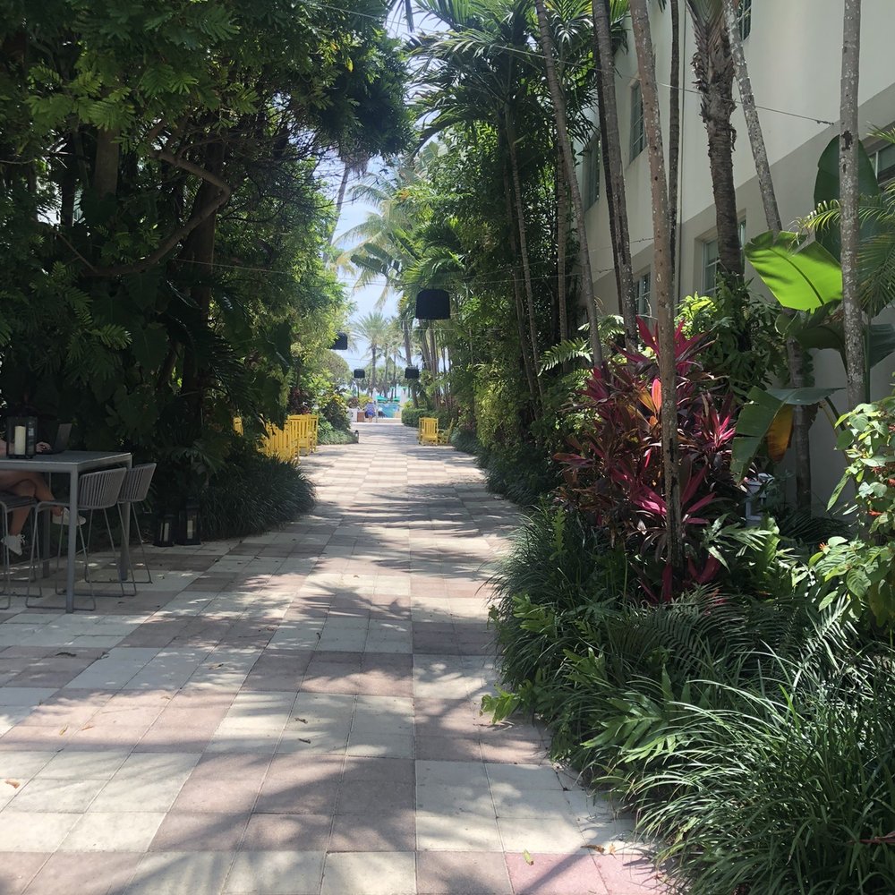 Kimpton Surfcomber Hotel - Path to pool - Hotels Near Me - Miami Beach, Florida Kimpton Surfcomber Hotel - Path to pool - Hotels Near Me - Miami Beach, Florida