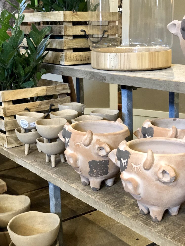 BRIGGS NURSERY 118 Photos & 52 Reviews Nurseries & Gardening 295