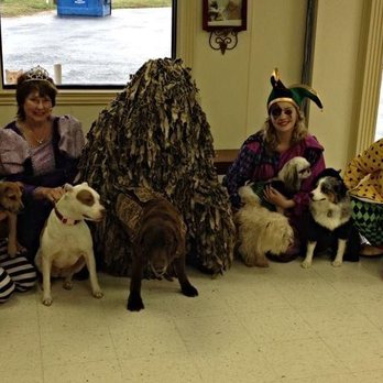 Mt Pleasant Animal Clinic - One of our past Halloween contests! - Veterinarians Near Me - Mount Pleasant, Texas Mt Pleasant Animal Clinic - One of our past Halloween contests! - Veterinarians Near Me - Mount Pleasant, Texas