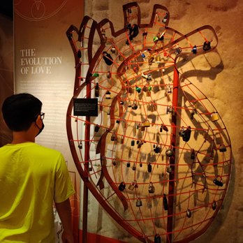 Real Bodies - Museums Near Me - Las Vegas, Nevada Real Bodies - Museums Near Me - Las Vegas, Nevada