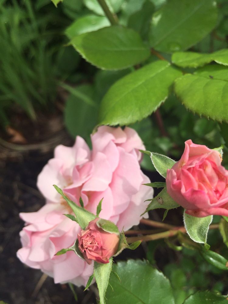 HUNACHINA CHINESE RESTAURANT Updated October 2024 22 Reviews 10