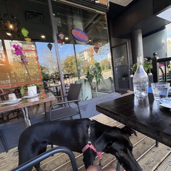 Phonatic Social - Dog friendly undercover patio! - Vietnamese Near Me - North Vancouver, British Columbia