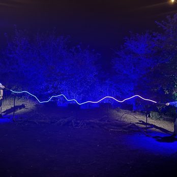 Harry Potter A Forbidden Forest Experience - Interactive magic! - Walking Tours Near Me - Cedar Creek, Texas Harry Potter A Forbidden Forest Experience - Interactive magic! - Walking Tours Near Me - Cedar Creek, Texas