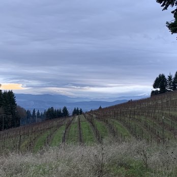 Loop De Loop Winery - a vineyard in the distance - Wine Tasting Room Near Me - Underwood, Washington Loop De Loop Winery - a vineyard in the distance - Wine Tasting Room Near Me - Underwood, Washington