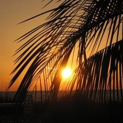 Laughing Lizard Bed & Beach - Sunset Over Gulf of Mexico