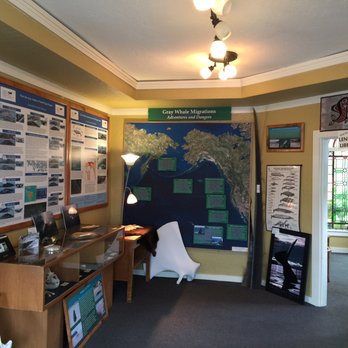 Langley Whale Center - Education Center - Museums Near Me - Langley, Washington Langley Whale Center - Education Center - Museums Near Me - Langley, Washington