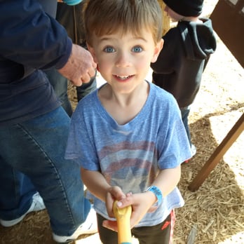 Dinosaur World - He was so thrilled with the fossil finds! - Museums Near Me - Cave City, Kentucky Dinosaur World - He was so thrilled with the fossil finds! - Museums Near Me - Cave City, Kentucky