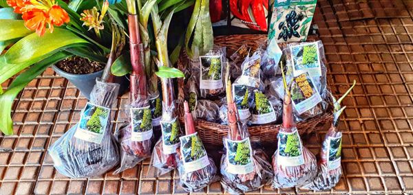 Mercado dos Lavradores (farmers' market) by null