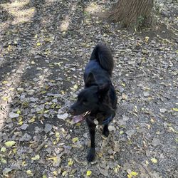 Bassett Creek Park