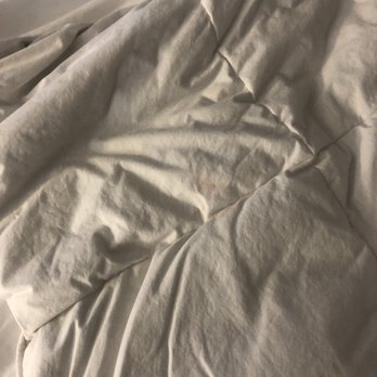DoubleTree by Hilton Hotel Memphis - Possible blood stain on duvet - Hotels Near Me - Memphis, Tennessee DoubleTree by Hilton Hotel Memphis - Possible blood stain on duvet - Hotels Near Me - Memphis, Tennessee