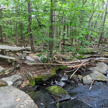Sanders Hill Trail - Hiking Near Me - Rome, Maine