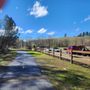 Photo of El Dorado Trail