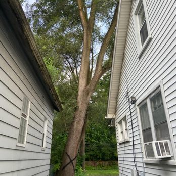 ABK Tree Service - Tree Services Near Me ABK Tree Service - Tree Services Near Me