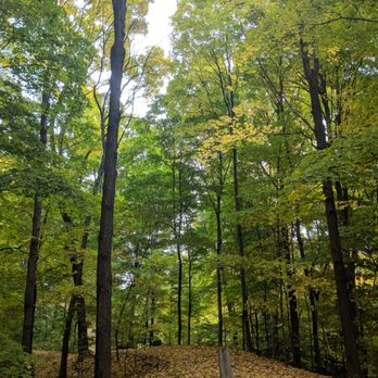 Arnold Arboretum - Parks Near Me - Boston, Massachusetts