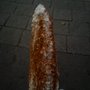 Photo of Elotes y Esquites Centro del Tlalpan