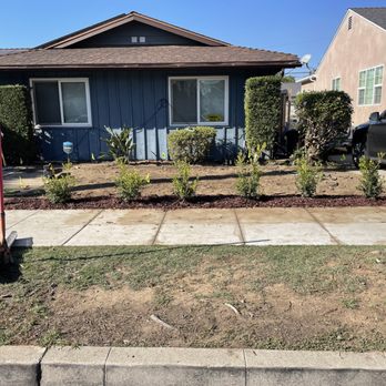 Q1services - the front yard of a house - Landscaping Near Me