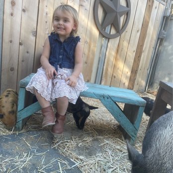 Dirty Bird Ranch - Petting Zoos Near Me