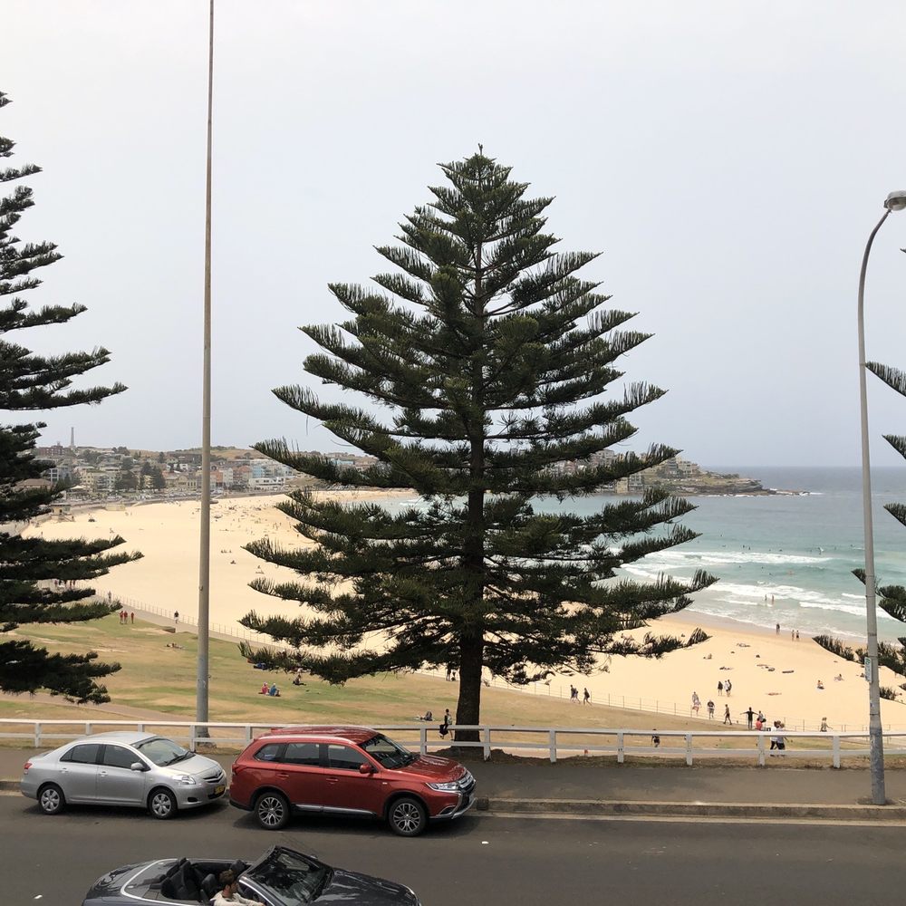 Bondi 38 Serviced Apartments - Bondi beach view - Hotels Near Me - Sydney, NSW