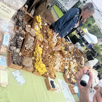 Proctor Farmers' Market - Adam mushrooms - Farmers Market Near Me - Tacoma, Washington Proctor Farmers' Market - Adam mushrooms - Farmers Market Near Me - Tacoma, Washington