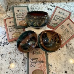 Sazzy's Galleria - Some artisan dips sand seasonings with my new ceramic finds!
