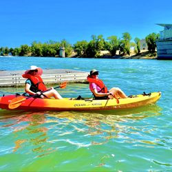 Mr Kayak