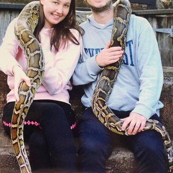 Australian Reptile Park - Zoos Near Me - Somersby, NSW Australian Reptile Park - Zoos Near Me - Somersby, NSW