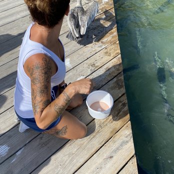 Tarpon Feeding - Wife just got jacked!!!  Lol - Local Flavor Near Me - Islamorada, Florida