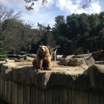Zoo Aquarium de Madrid - Feed me. But don't really. - Zoos Near Me - Madrid, M
