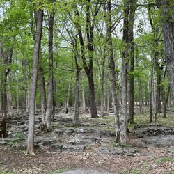 Stones River National Battlefield Park