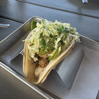 Casa Pearl - Fried Oyster Taco - Seafood Near Me - Williamsburg, Virginia Casa Pearl - Fried Oyster Taco - Seafood Near Me - Williamsburg, Virginia