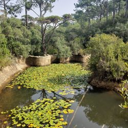 We Hate Tourism Tours - Private lake at Monserrate. Where is the orchestra and boat-boy?