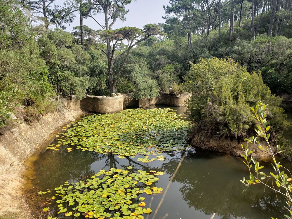 We Hate Tourism Tours