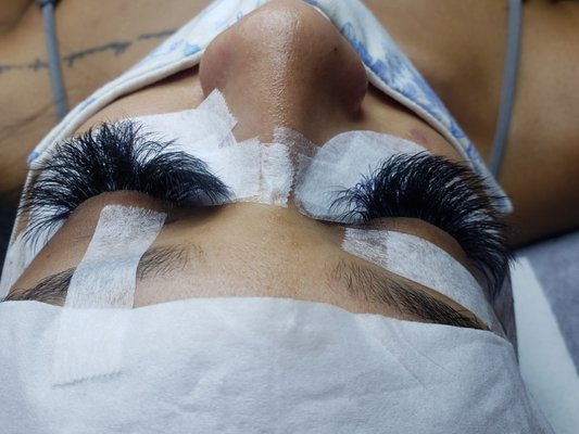 Virtue Lash by null