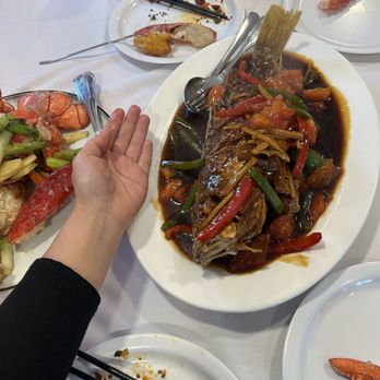 Fantasy Restaurant - Braised rock fish. Hand for scale - Cantonese Near Me - Petaluma, California