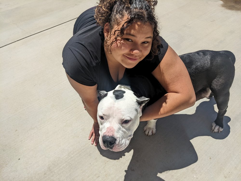 Open for Business DIVINE K9 GROOMING SERVICE Victorville, California Pet Groomers Phone