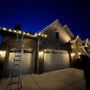 Freddi’s Lights