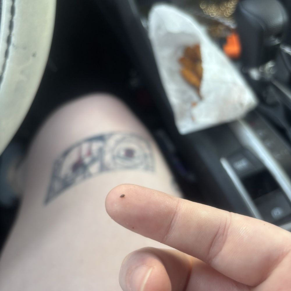 Earth Burger - A bug - Burgers Near Me - San Antonio, Texas