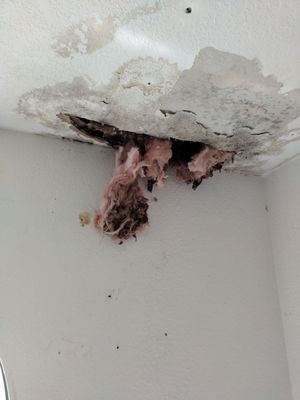 Ridge Down Construction Logo