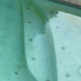 The Pool Magician - Pool gone green while serviced by pool magician - Pool Cleaners Near Me - Glendale, Arizona The Pool Magician - Pool gone green while serviced by pool magician - Pool Cleaners Near Me - Glendale, Arizona