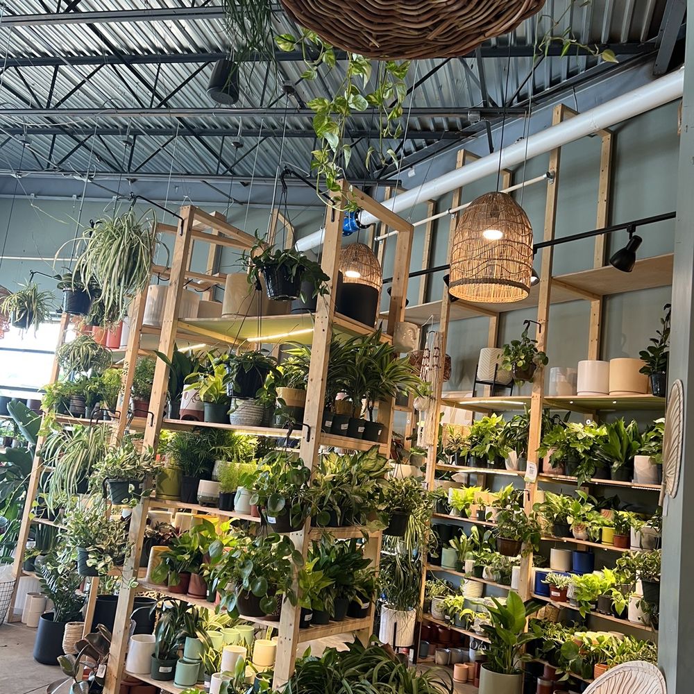 PlantHouse - Nurseries & Gardening Near Me - Charlotte, North Carolina PlantHouse - Nurseries & Gardening Near Me - Charlotte, North Carolina