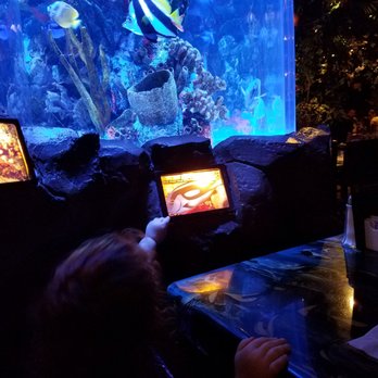 Rainforest Cafe - The aquarium is beautiful - American Near Me - Sunrise, Florida Rainforest Cafe - The aquarium is beautiful - American Near Me - Sunrise, Florida