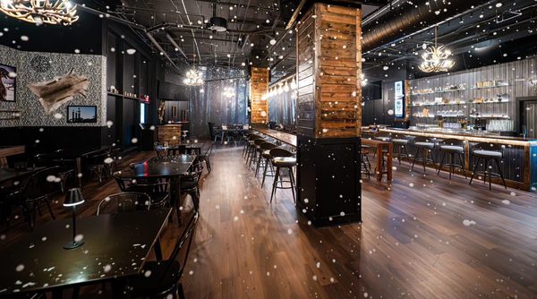Skol Brewing Company by null